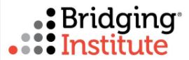 The Bridging Institute logo