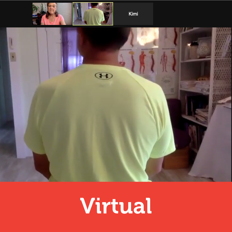virtual visits