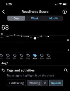 Oura ring readiness score
