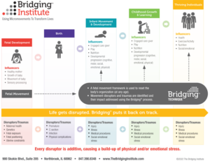 development chart