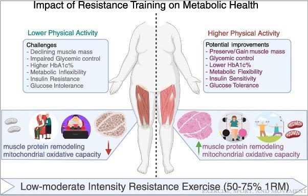 resistance training and metabolism