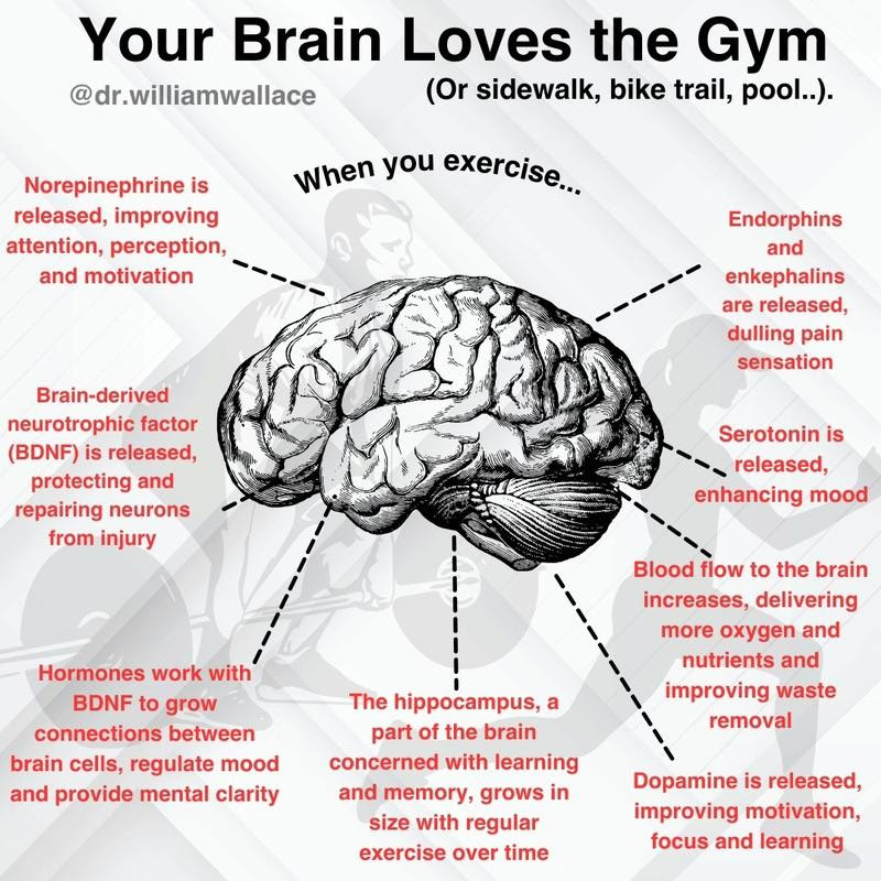Exercise And Brain Health So Many Benefits The Bridging Institute