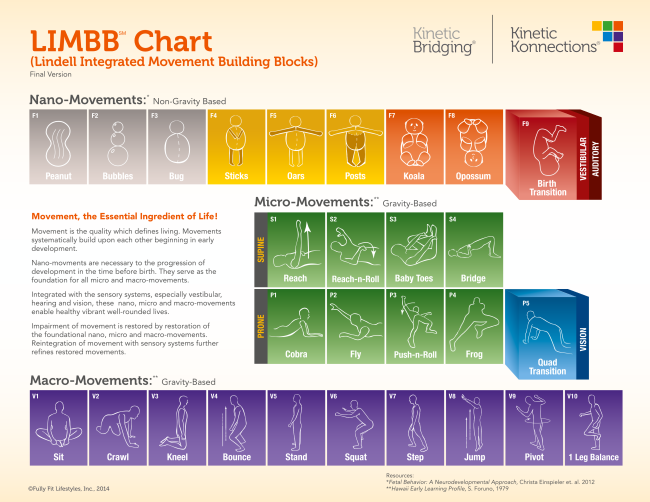 LIMBB CHART