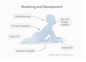 breathing and development