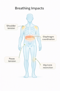 body parts impacted by breathing issues