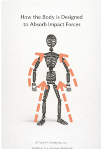 ho w the body is designed to absorb impact