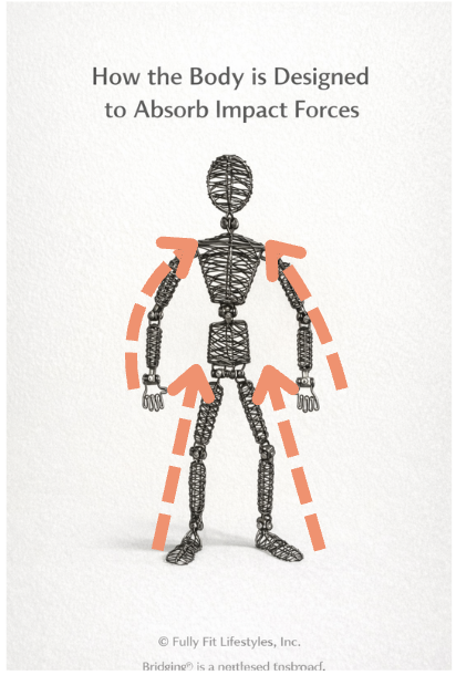 ho w the body is designed to absorb impact