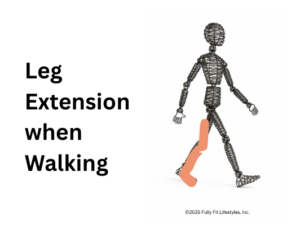 leg extension when walking