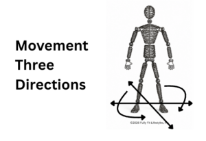 movement in three directions