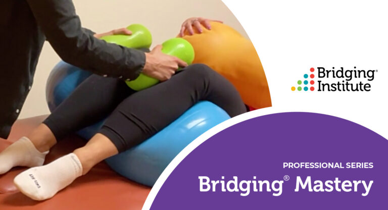 For Professionals - The Bridging Institute
