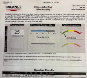 balance assessment results