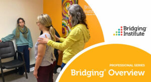 teaching Bridging to professionals