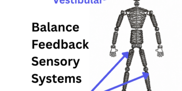 balance system sensory feedback