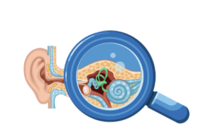 vestibular feedback
