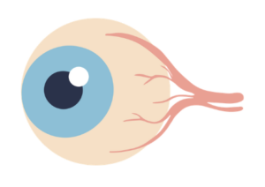 visual feedback