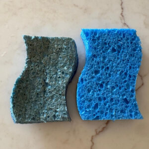sponges