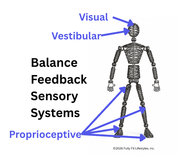 balance feedback sensory systems