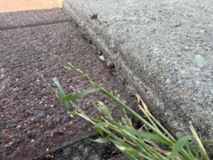 this is the location where I fell